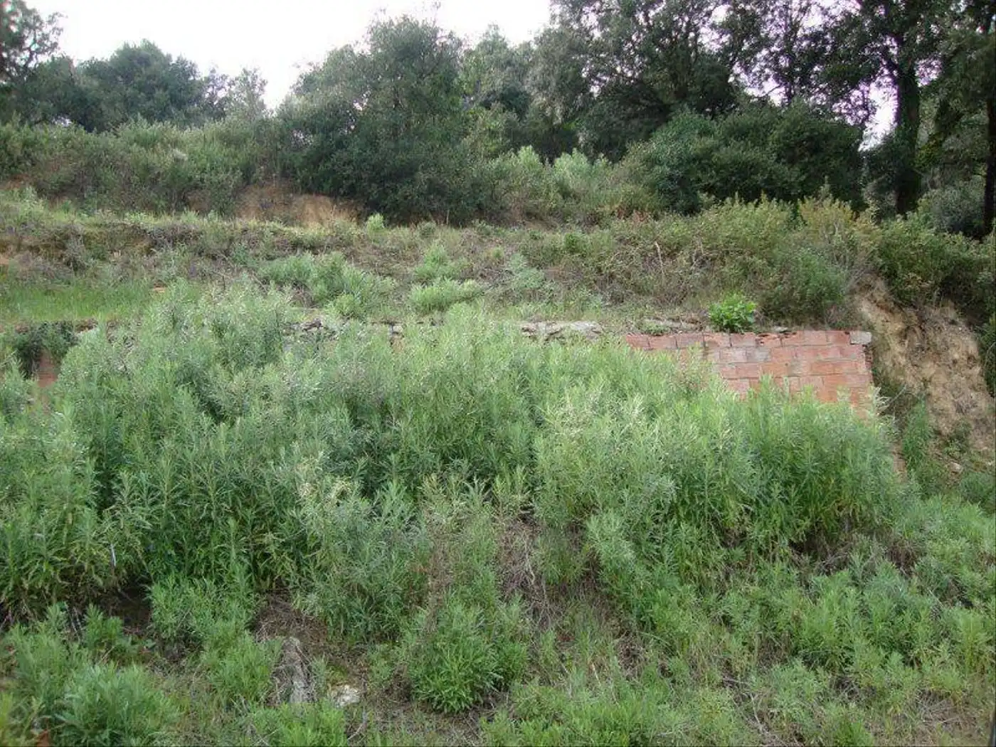 Residencial en venda en Sant Cebrià de Vallalta