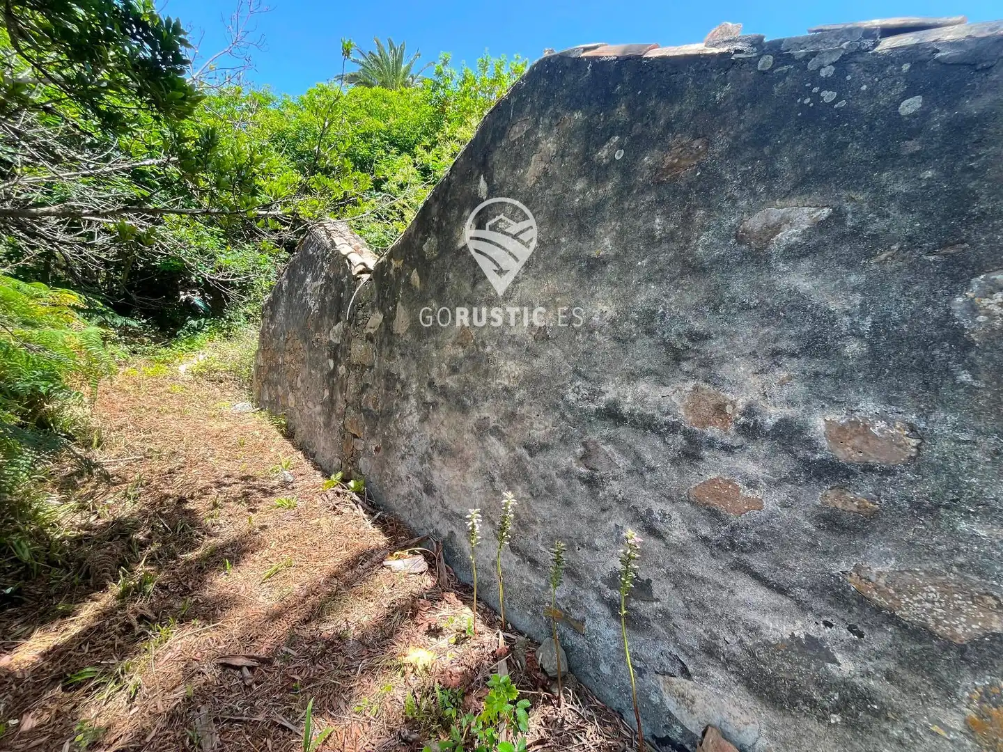Terreno rústico en venta en Cruz de Tierno, Pol 2; Parc. 344 y 10344, imagen 19