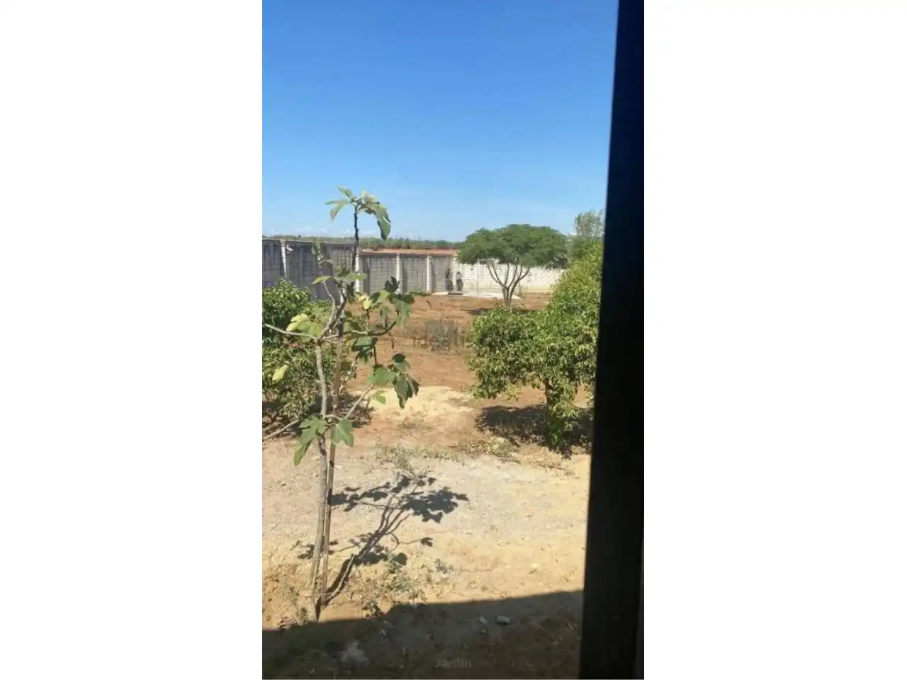 Chalet con piscina en venta en Urbanizacion Regidor, imagen 10