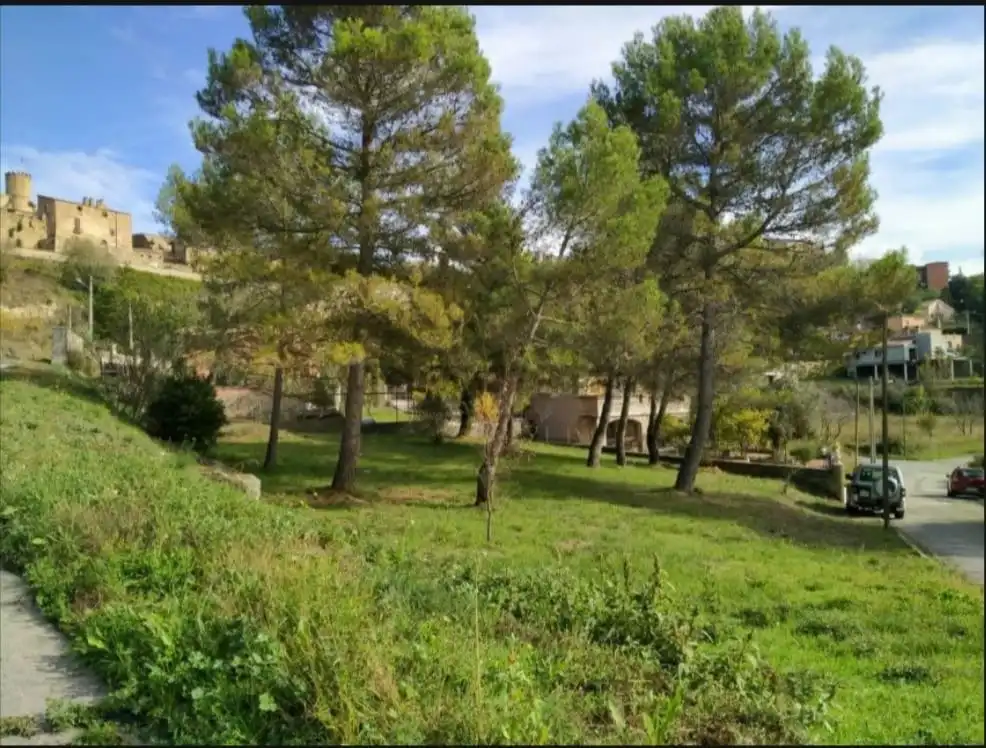 Residential land for sale in Talamanca, imagen 8