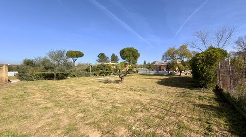 Photo 2 of Country homes for sale in Venus, Oromana, Alcalá de Guadaira
