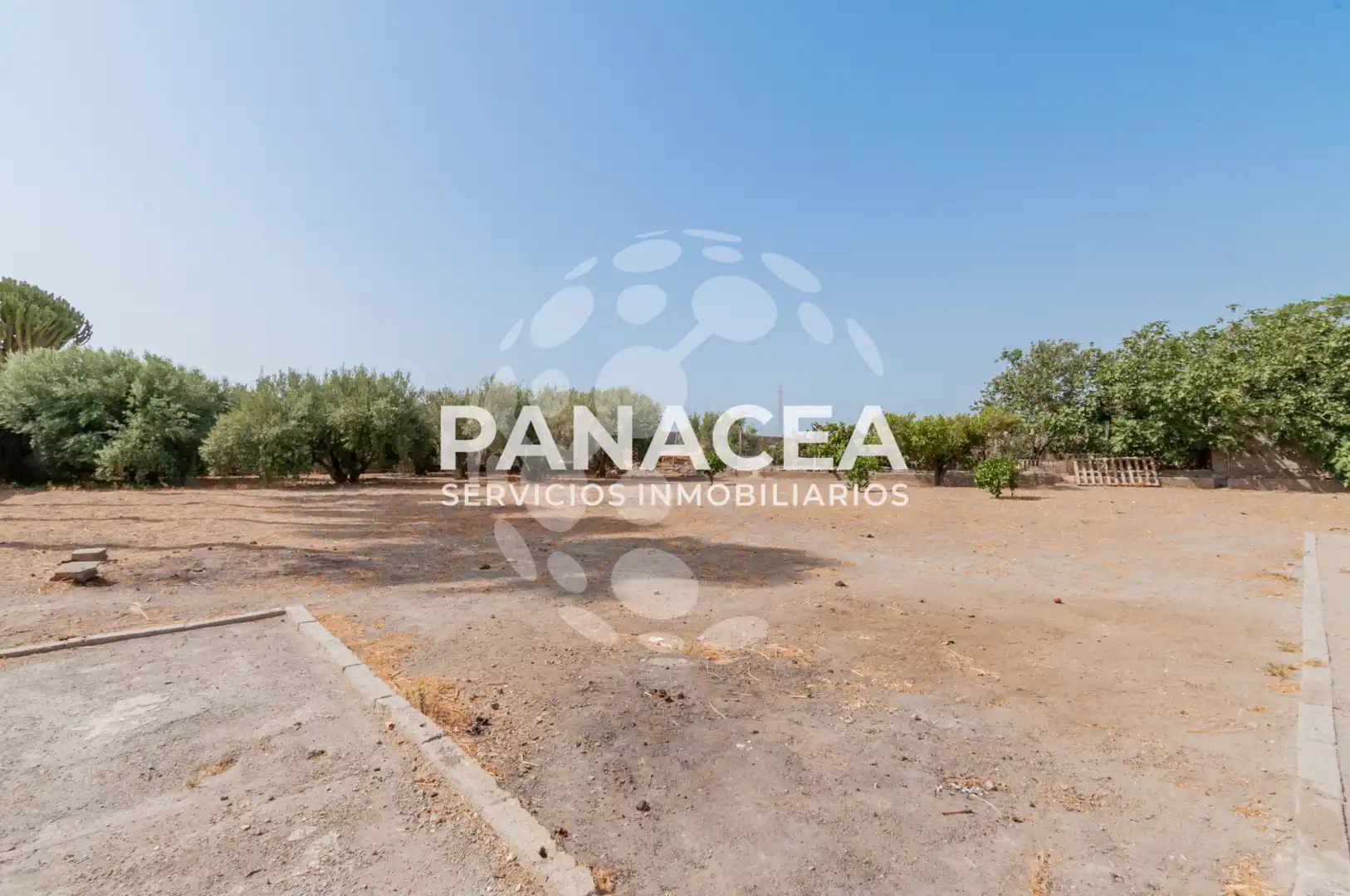 Casa o xalet en venda en Pechina amb Jardí privat, Piscina i Moblat