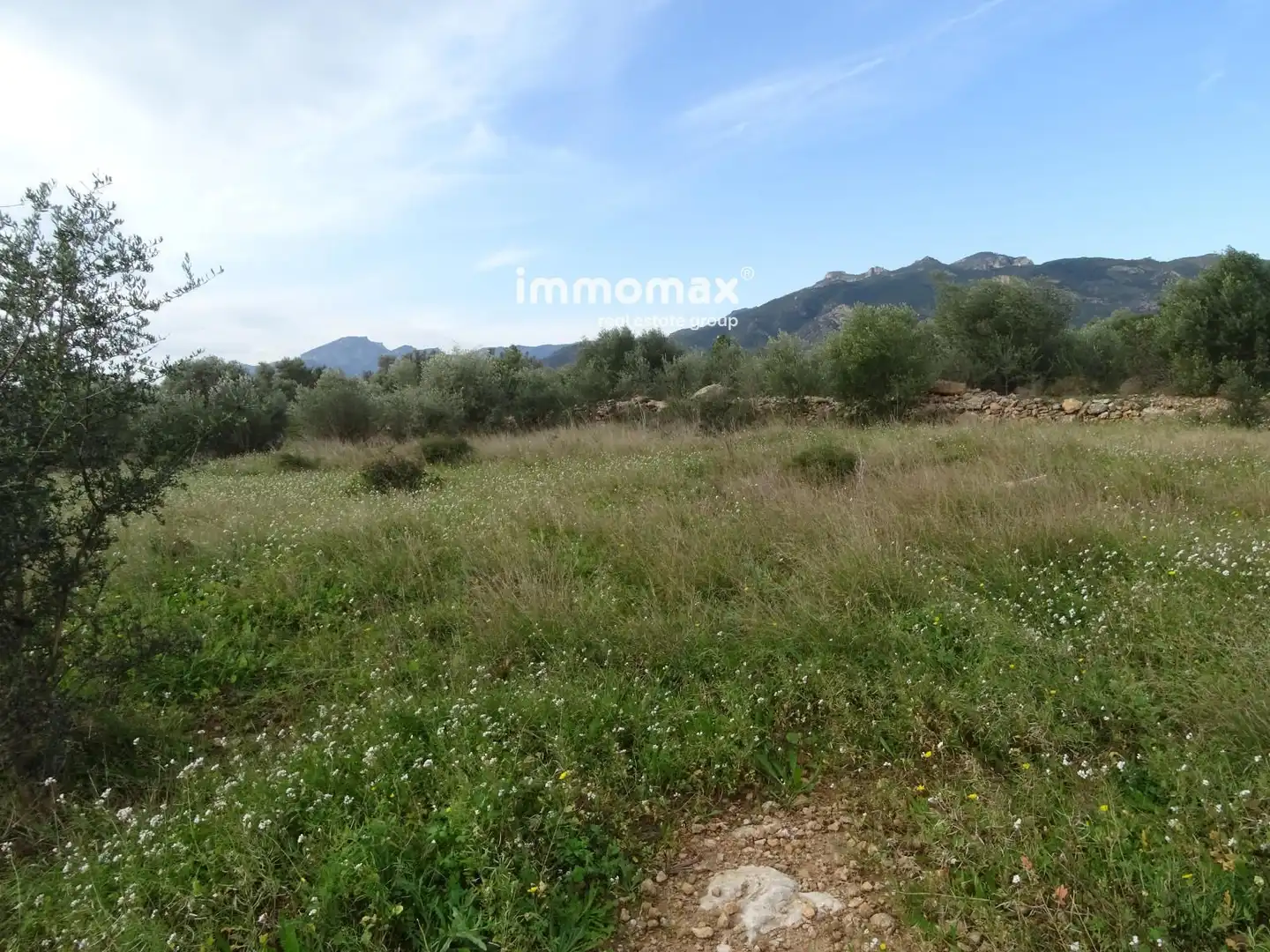 Terrain résidentiel à vendre à 16, imagen 5