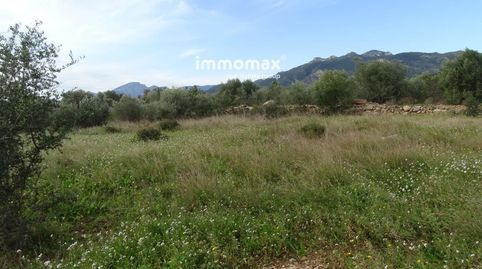 Finca rústica en venta en Xerta con dos casetas, imatge 5