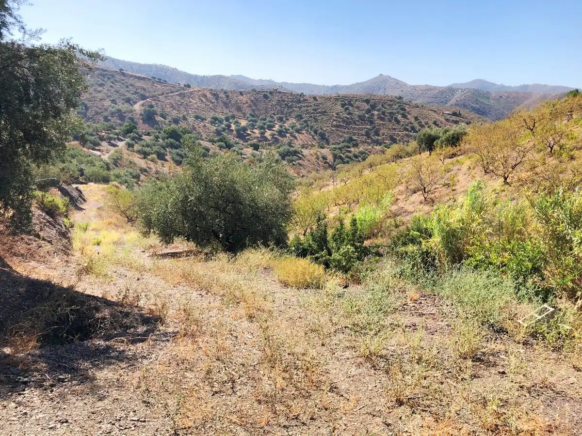 Terrenos y solares en venta en Sedella, imagen 16