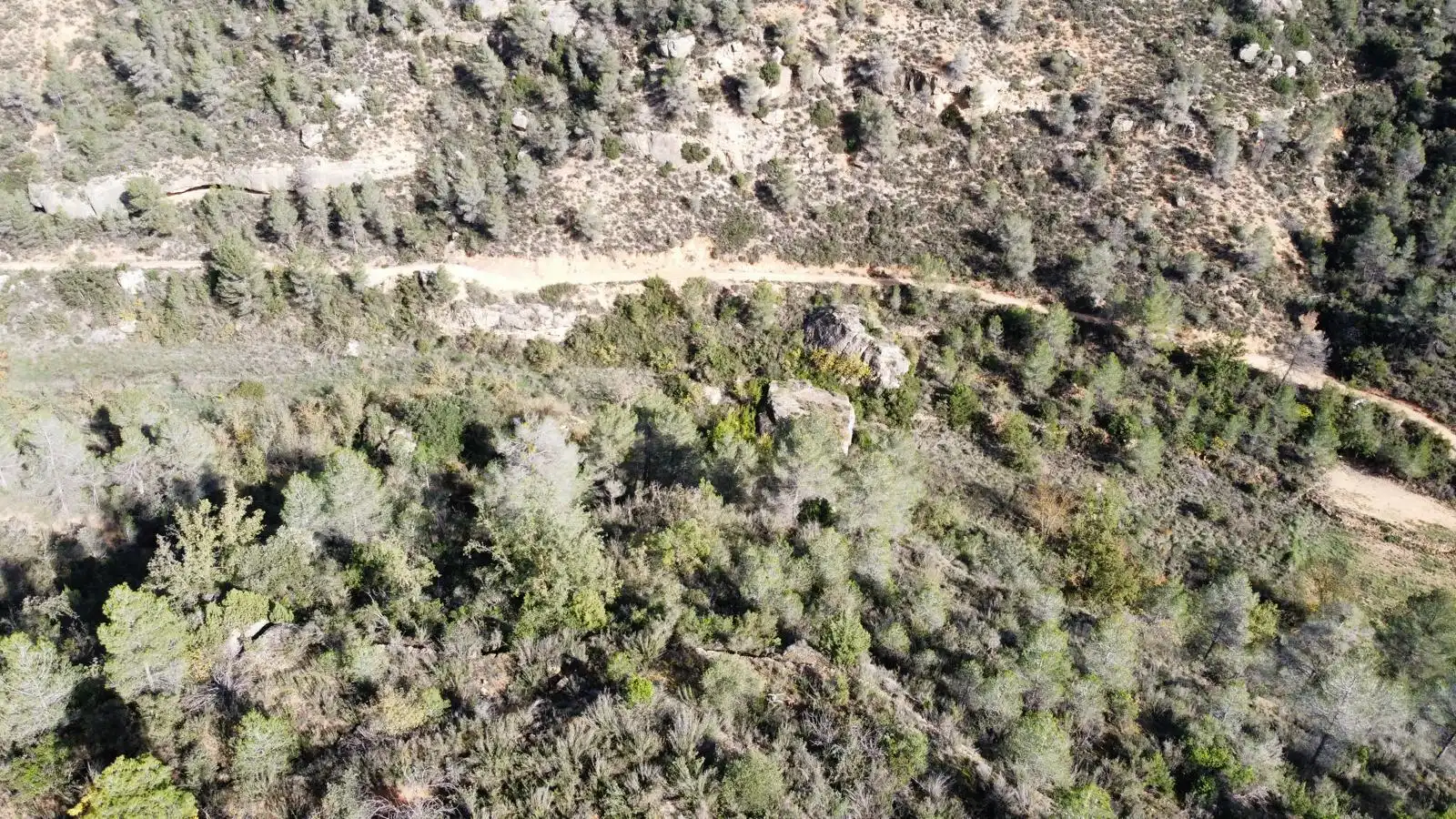 Terreno rustico in vendita a Cervià de Les Garrigues, imagen 9
