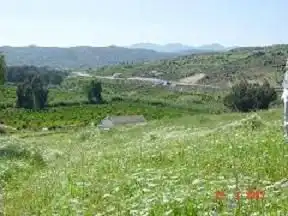 Terreni e lotti in vendita a Avenida de San Roque, imagen 3