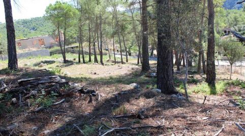 Foto 5 de Terreno industrial en venta en Calle Montserrat, Avinyonet del Penedès, Barcelona