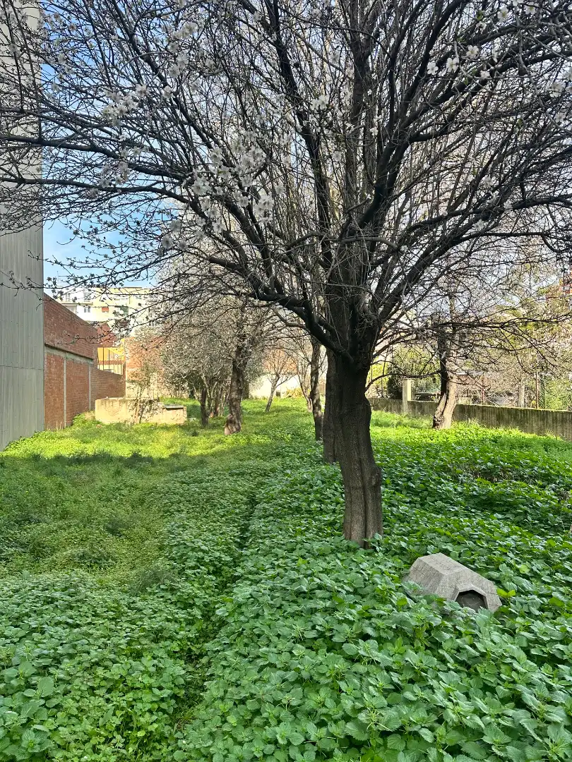 Terreno residencial en venta en Carrer Torras i Bages, imagen 3