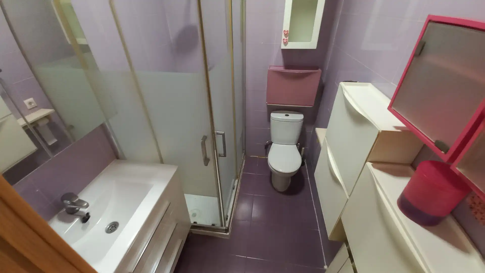 Baño de Casa o chalet en venta en Pinilla