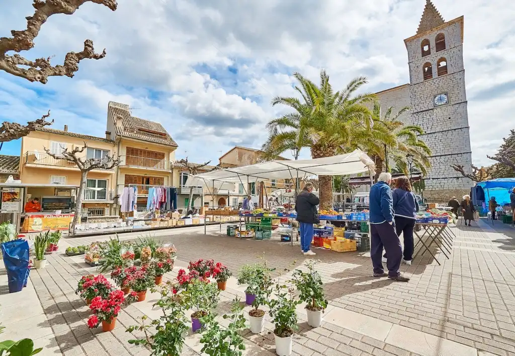 Casa rustica con giardino in vendita a Campanet, imagen 20