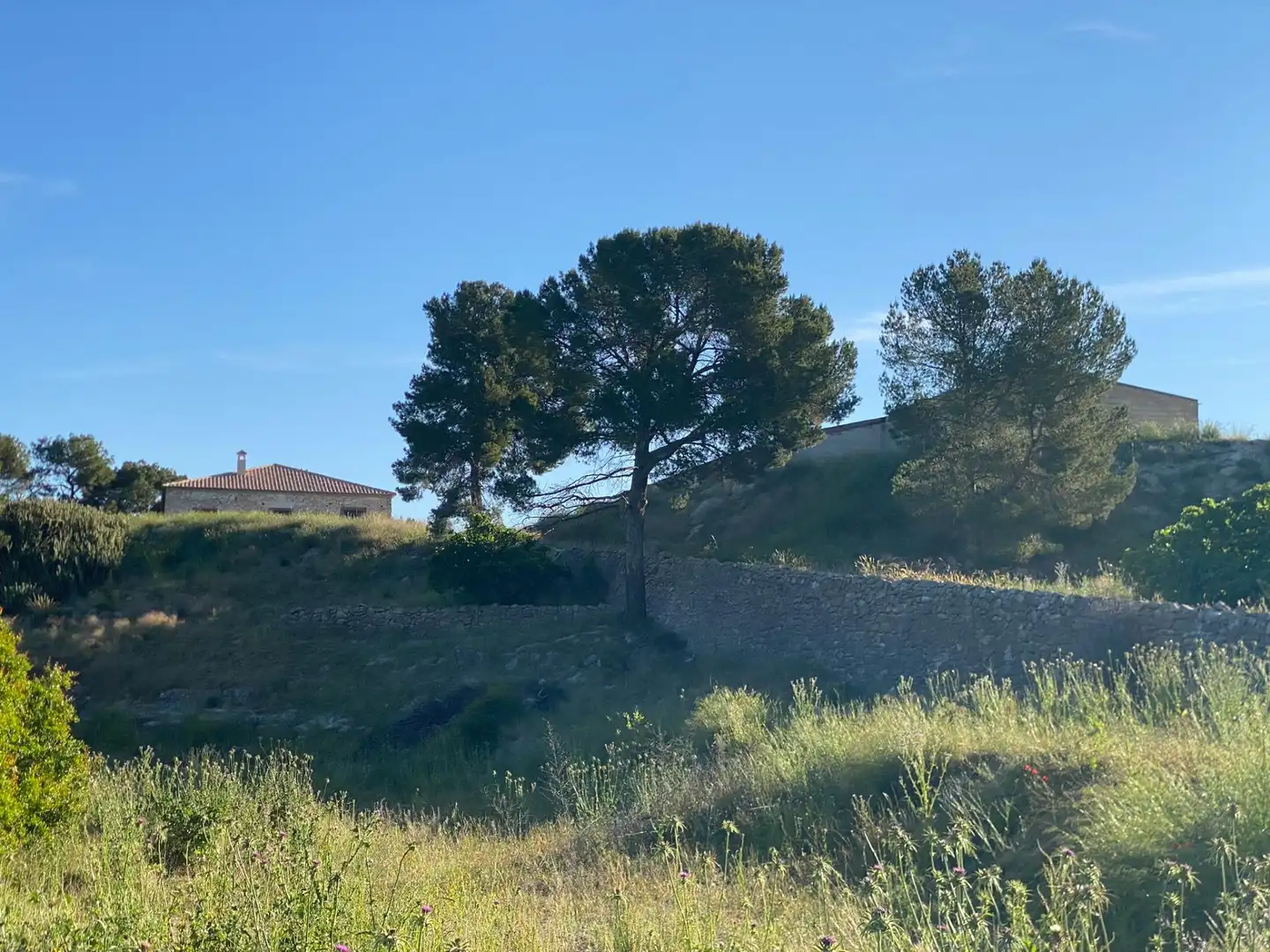Villa à vendre à Moratalla, imagen 16