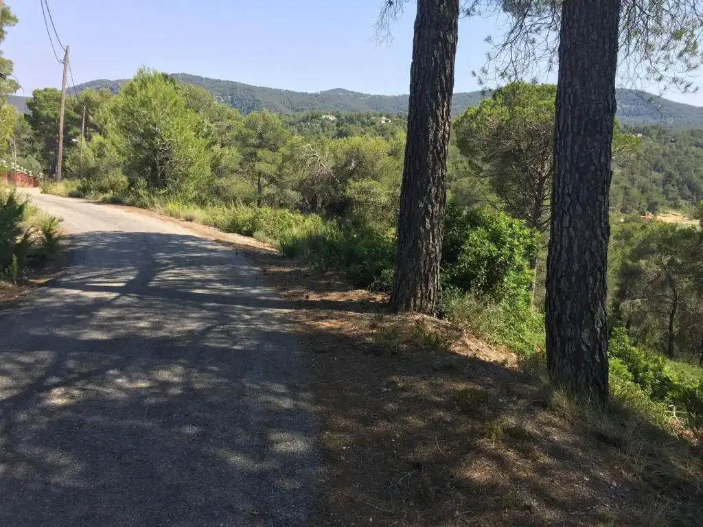 Terreny rústic en venda a BAIX PENEDES, imagen 5