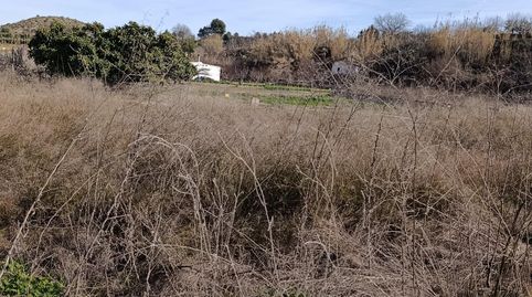 TERRENO RURAL EN CEHEGIN, immagine 4