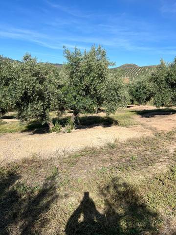 Terreno en Venta en Fuente-Tójar