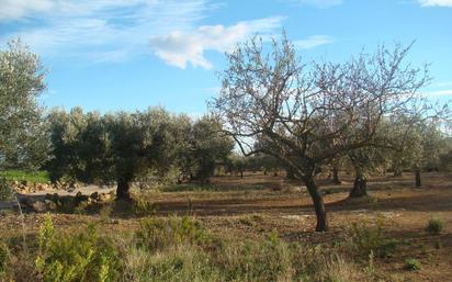 Country house for sale in L'Aldea