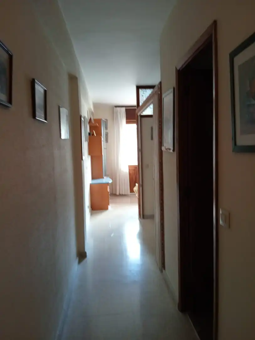 Piso con piscina en venta en Avenida Luis Rocafort 53, imagen 13
