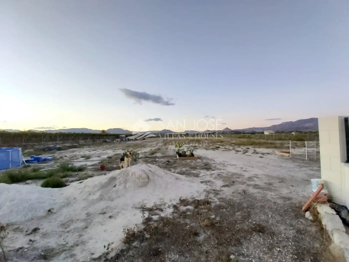 Buildings for sale in Aspe