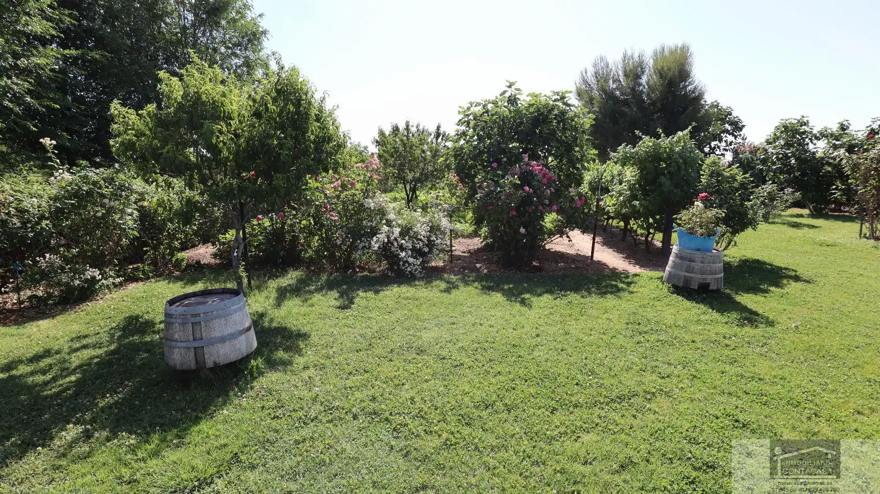 Jardín de Casa o chalet en venta en Fuente El Saz de Jarama con Calefacción, Terraza y Trastero