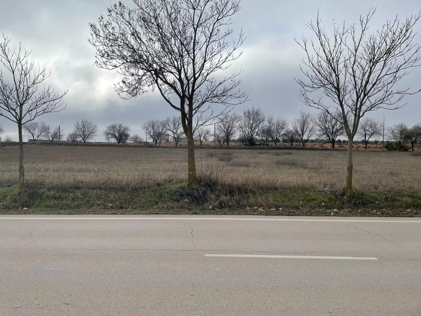 Lands and plots for sale in La Puebla de Almoradiel, imagen 2
