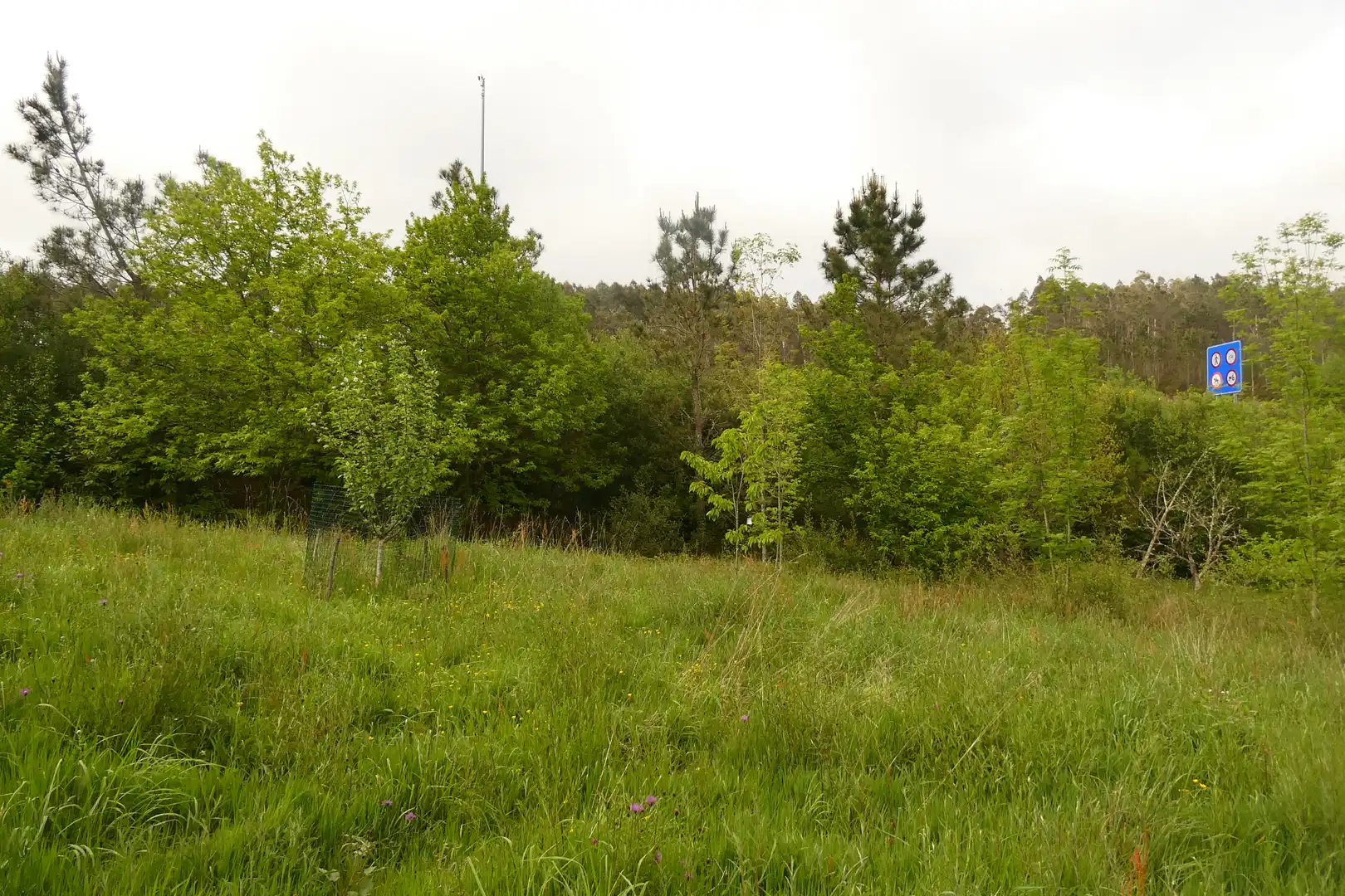 Finca rústica en venda en San Sadurniño amb Jardí privat, Moblat i Forn