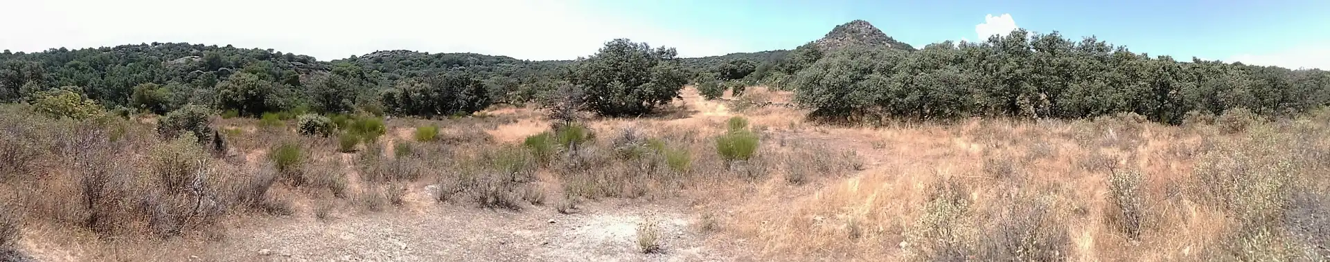 Rural land for sale in Cadalso de los Vidrios, imagen 3