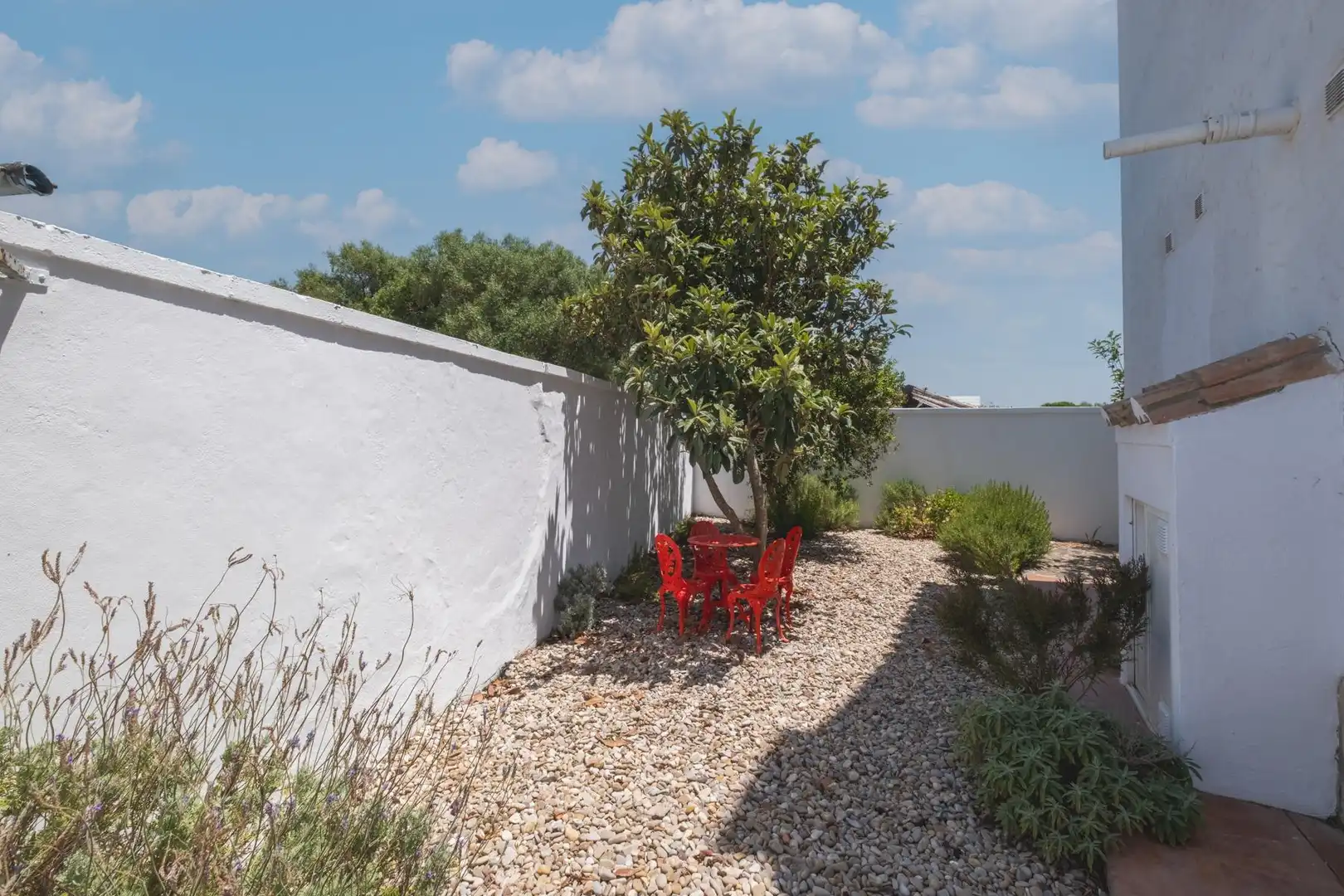 Terrace of Country homes for sale in Barbate  with Private garden, Terrace and Storage room