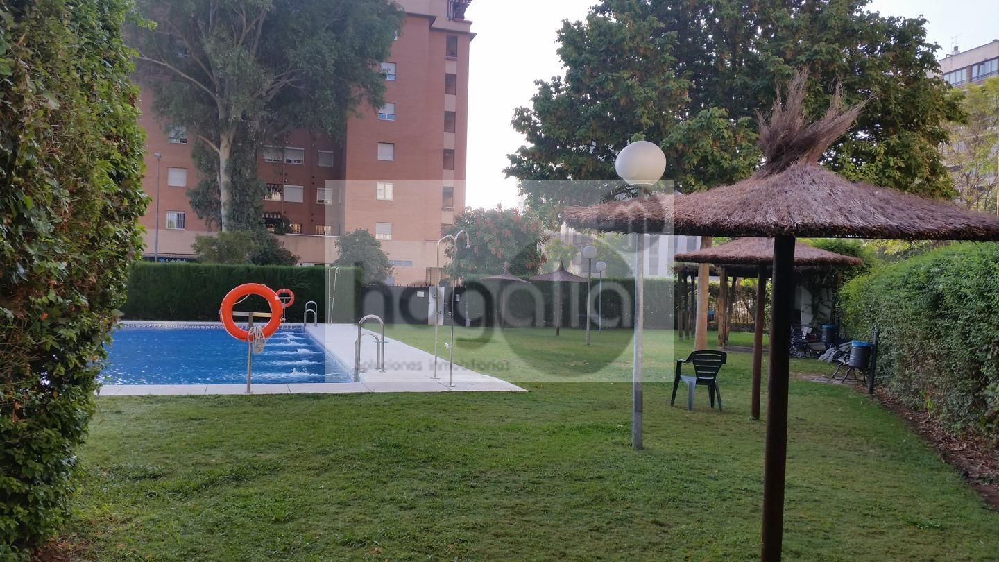 Swimming pool of Flat to rent in  Sevilla Capital  with Air Conditioner and Terrace