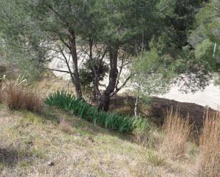 Residential for sale in Riudecanyes