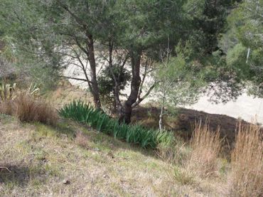 Terreno residencial en venta en Ponent (Del)