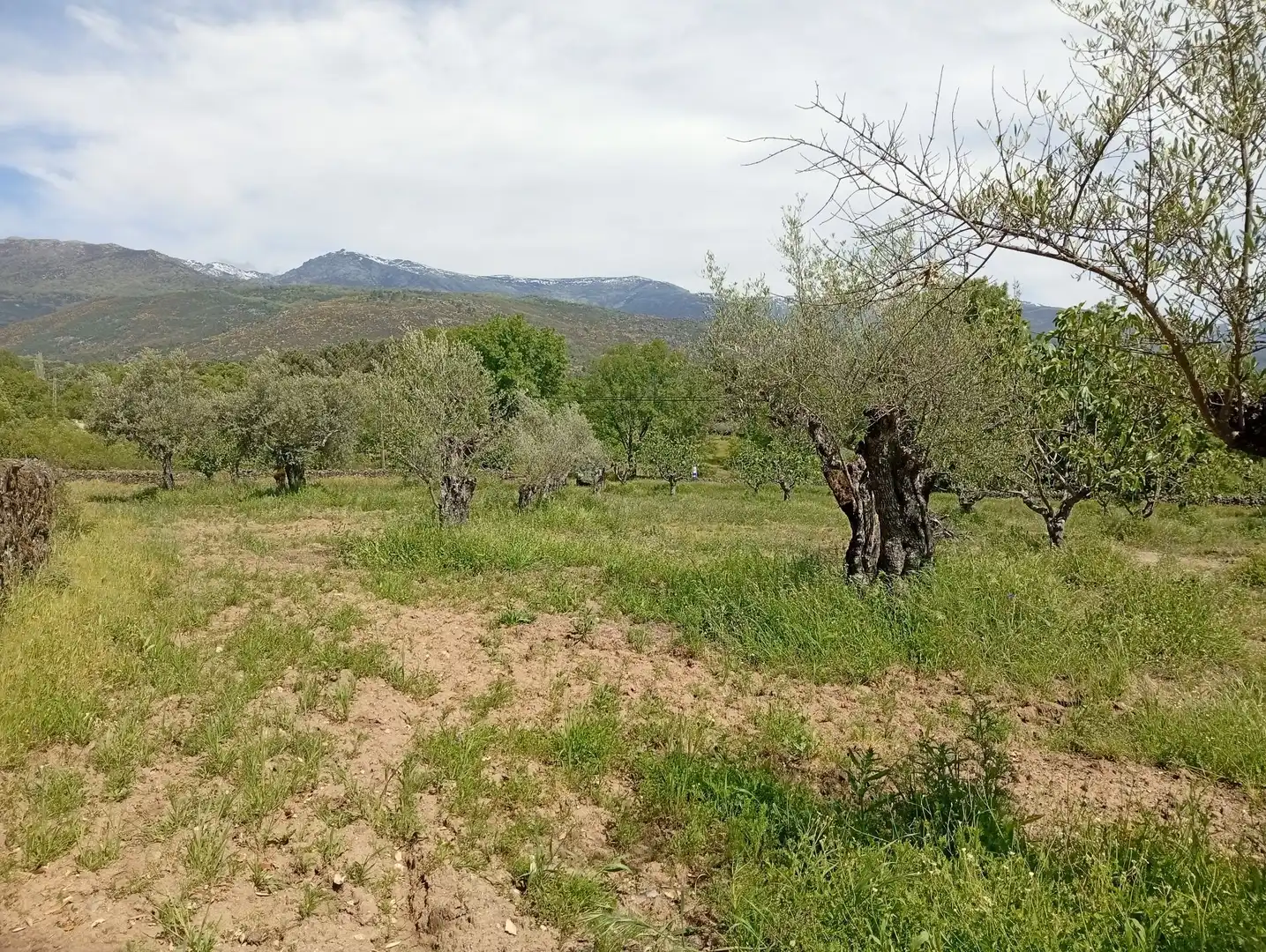 Terreni e lotti in vendita a Villanueva de la Vera, imagen 44