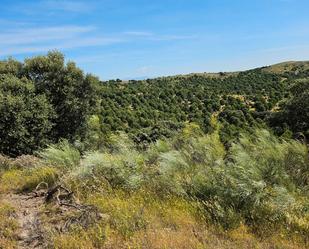 Land for sale in Las Herencias