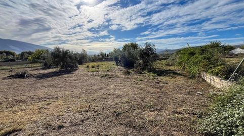 FINCA RÚSTICA A UN PASO DE PADUL, immagine 2