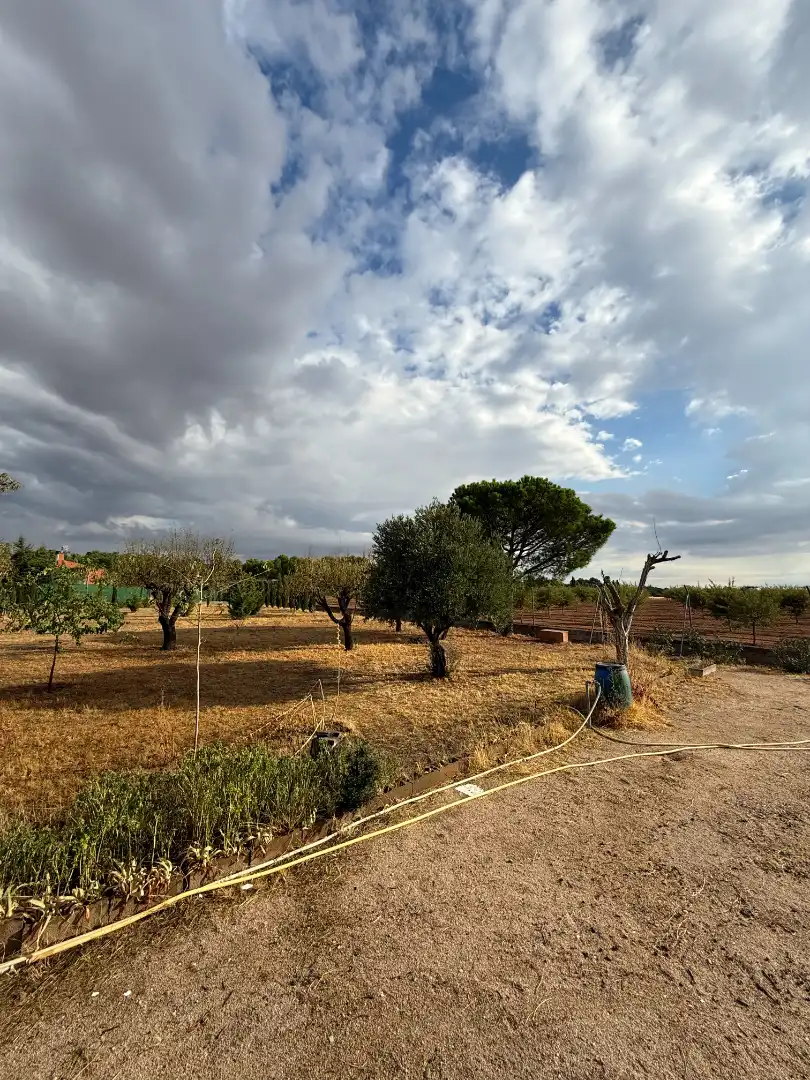 Xalet amb jardí en venda a Carretera a, imagen 13