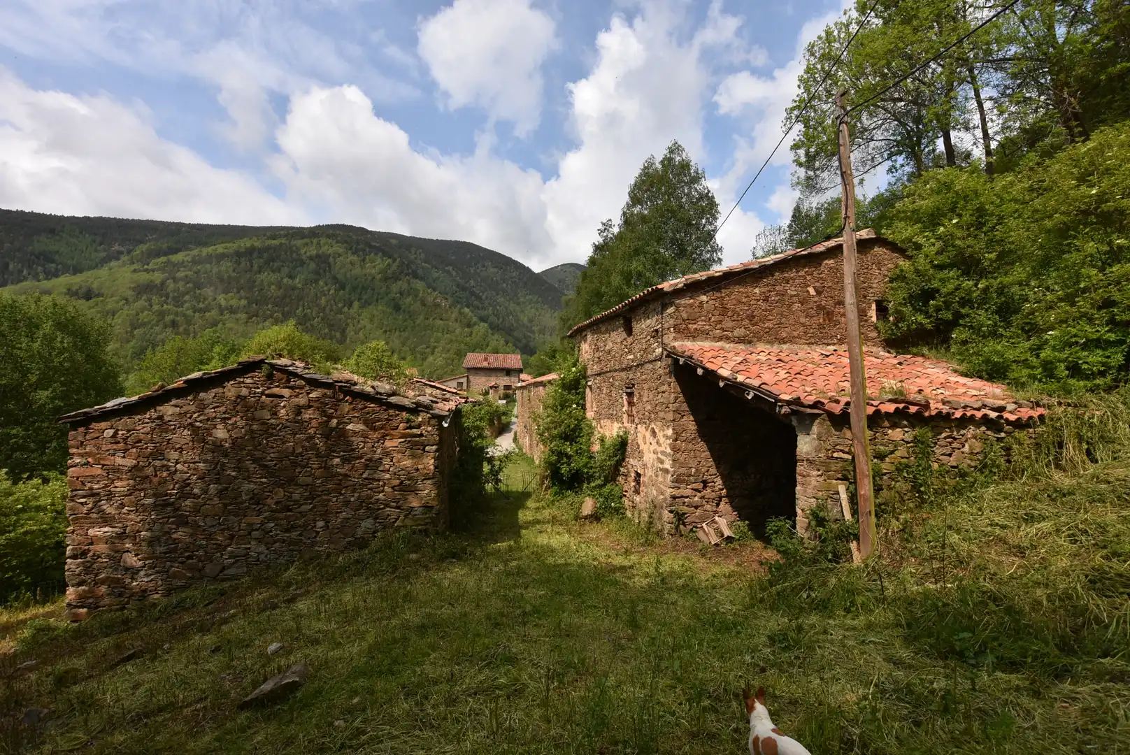 Landhaus mit Garten zum Verkauf in Vilallonga de Ter, imagen 9