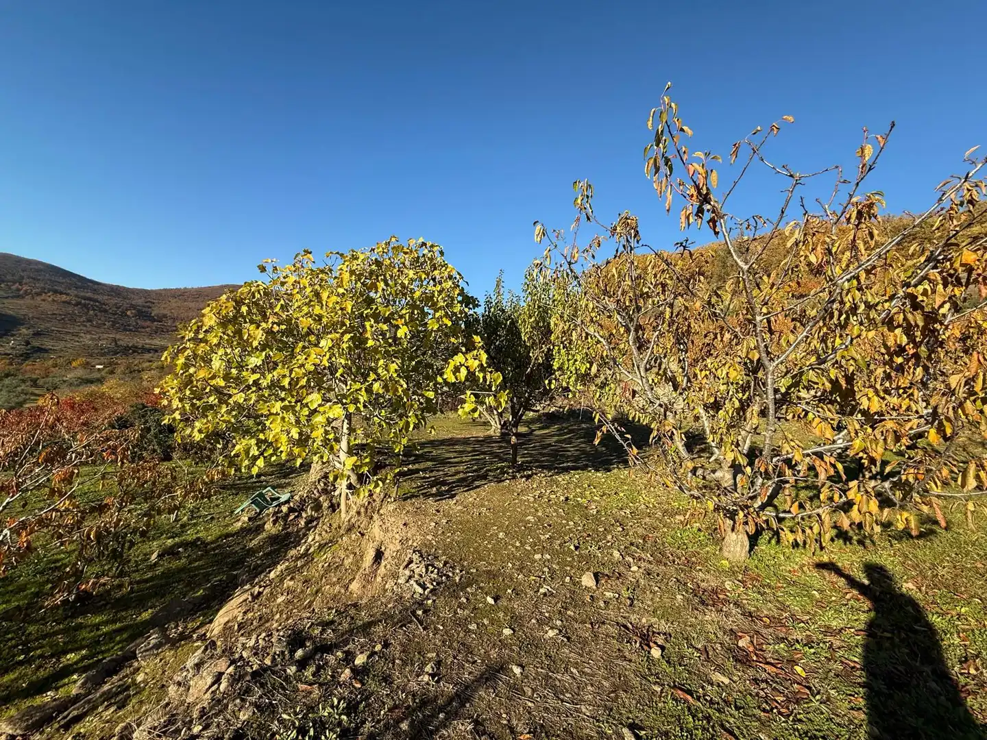Land for sale in Arroyomolinos de la Vera