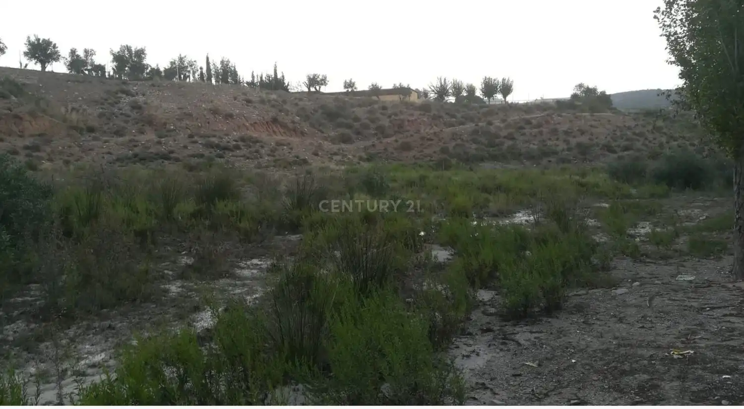 Lands and plots for sale in B-27 210