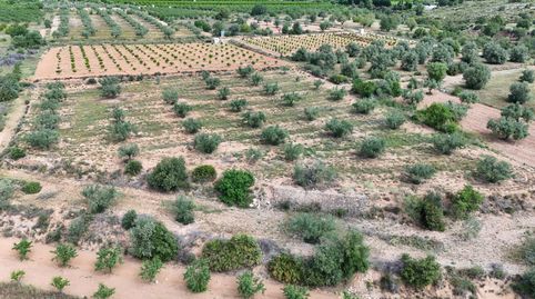 TERRENO RUSTICO, imatge 3