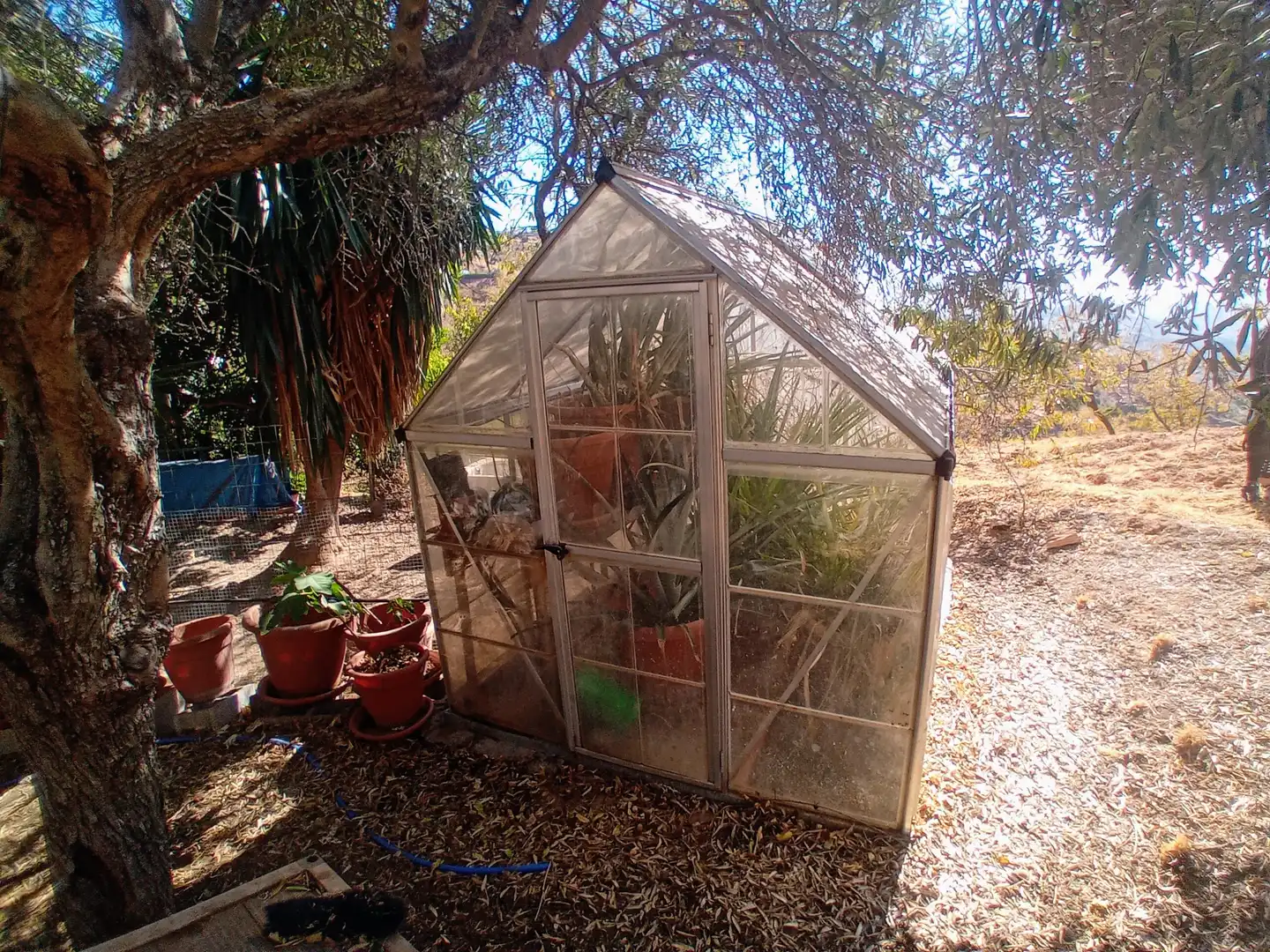 Landhaus mit Garten zum Verkauf in A-366, imagen 17