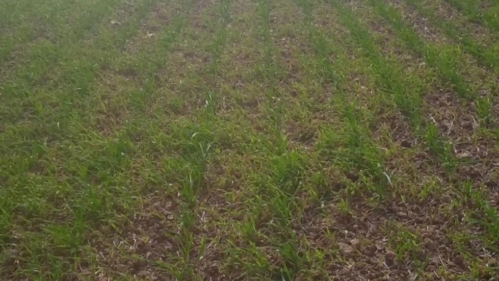 Residencial en venta en Santa María de Benquerencia