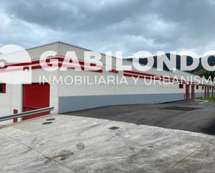 Exterior view of Industrial buildings for sale in Mendaro