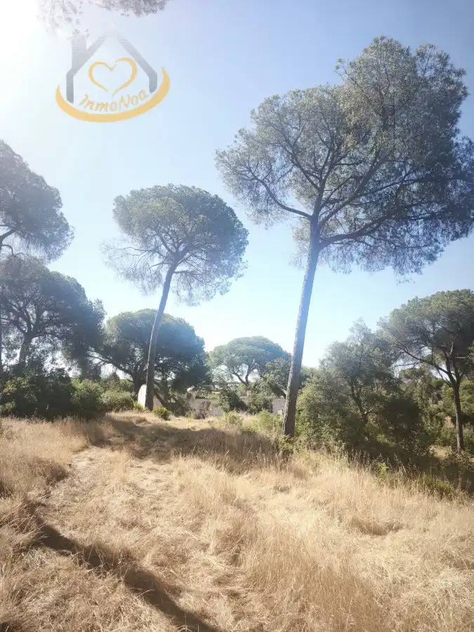Terreni e lotti in vendita a Moguer, imagen 8