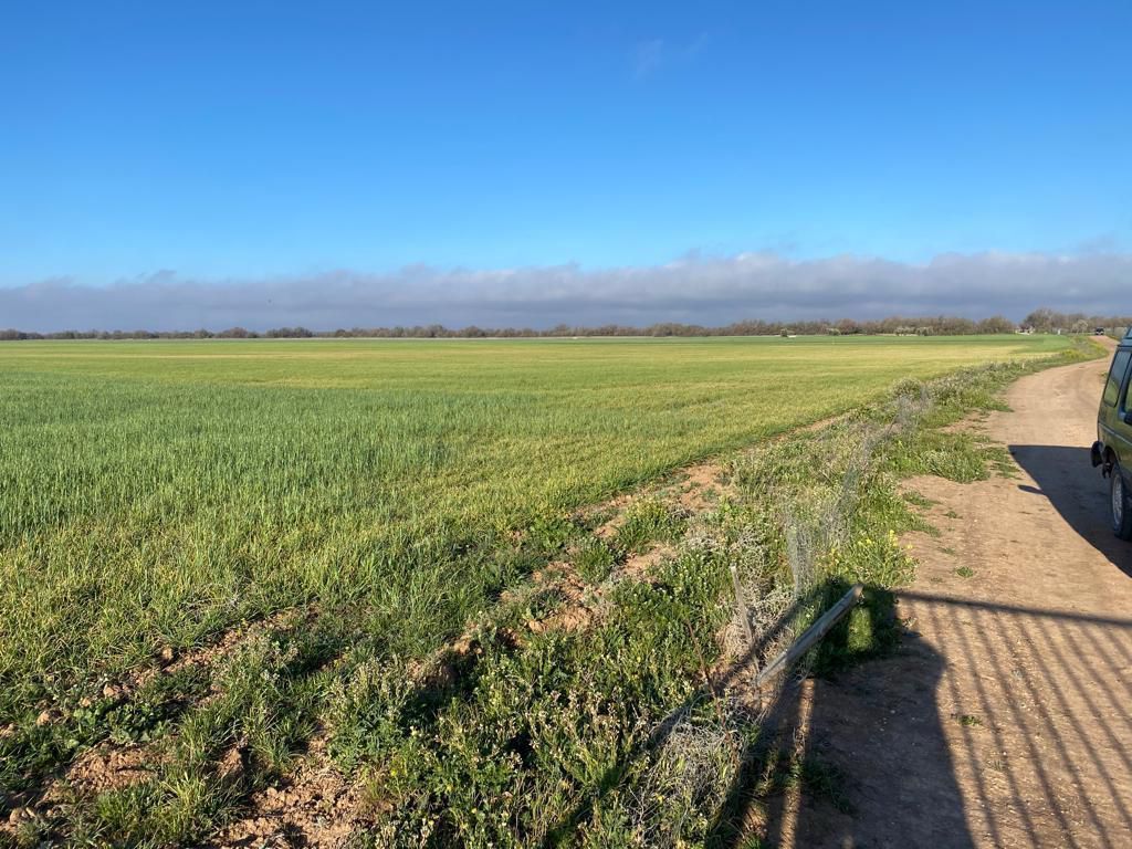 Finca rústica en venda en  Toledo Capital