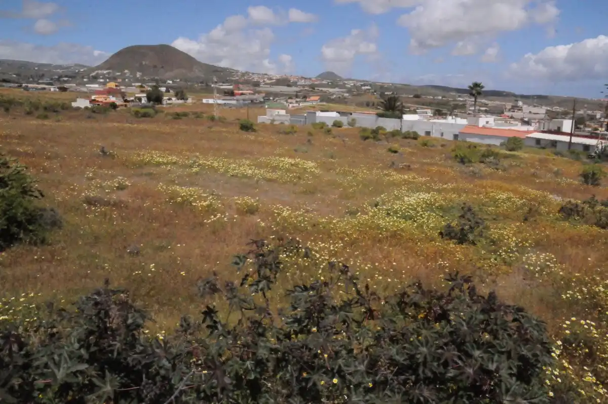 Rural land for sale in Valle de los Nueve - El Ejido - Medianías, imagen 2
