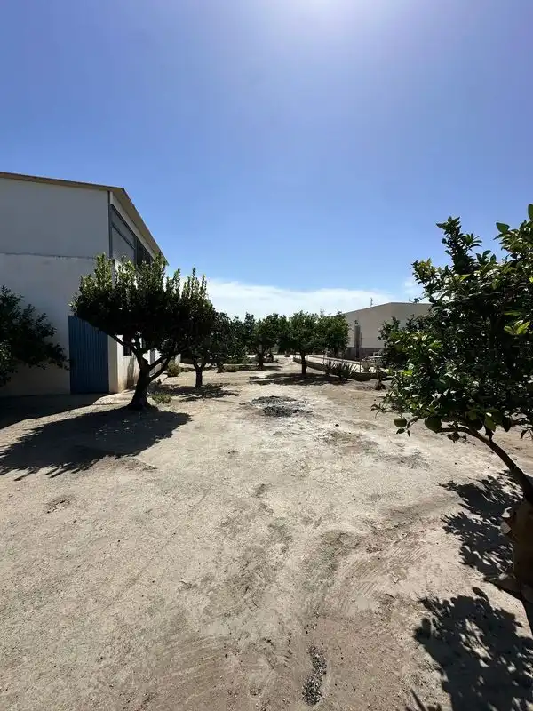 Terreny rústic en venda a La Cañada de San Urbano, imagen 14