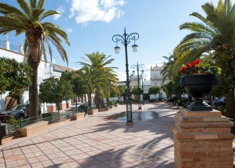Vista exterior de Casa adosada en venta en Fuentes de Andalucía con Aire acondicionado y Terraza