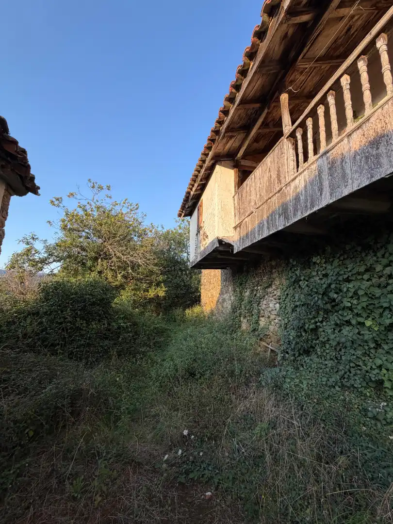 Rural land for sale in Tineo, imagen 11