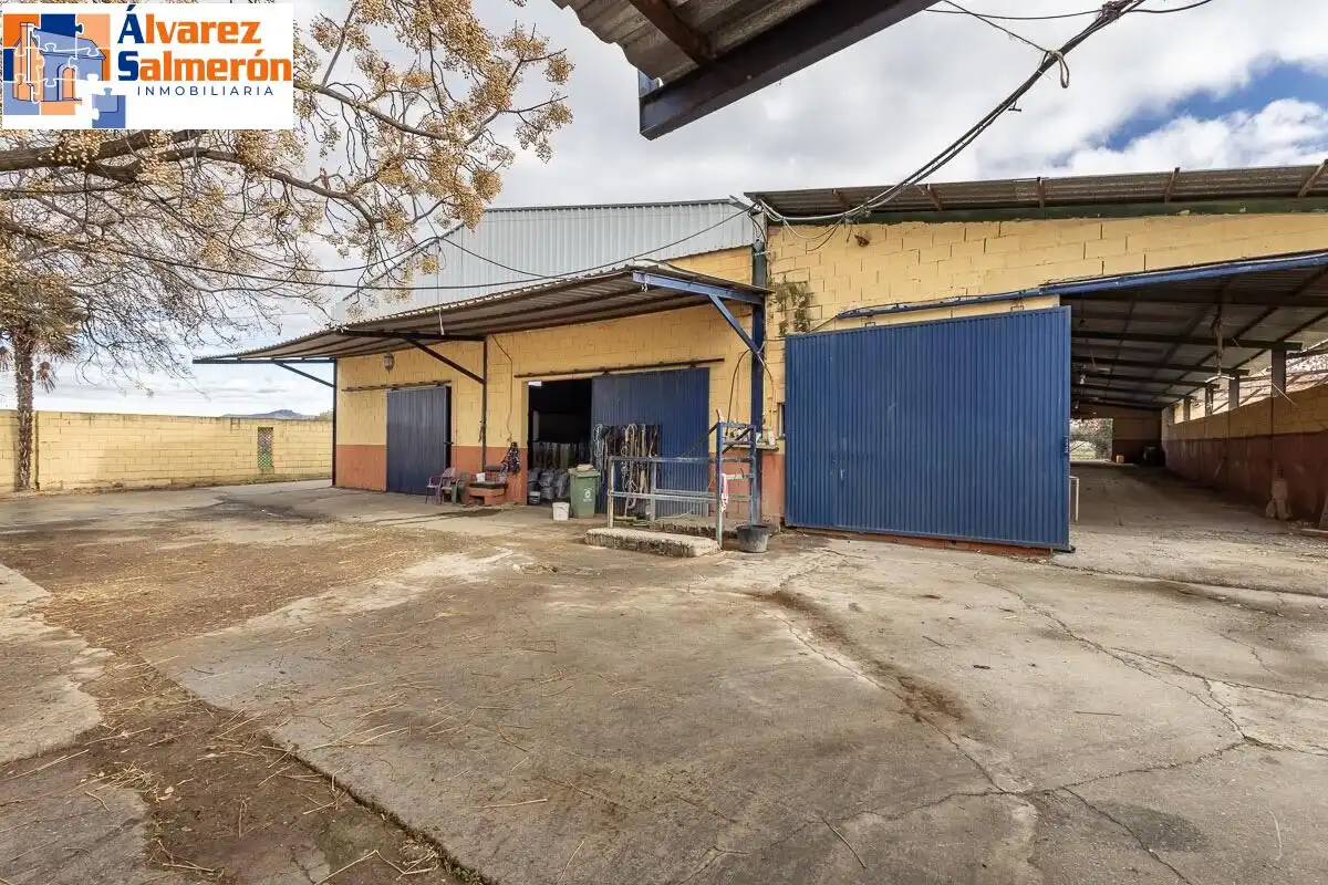 Vista exterior de Casa o xalet en venda en La Zubia amb Jardí privat