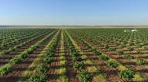 Photo 4 of Land for sale in Fuensanta - Universidad, Cuenca Capital