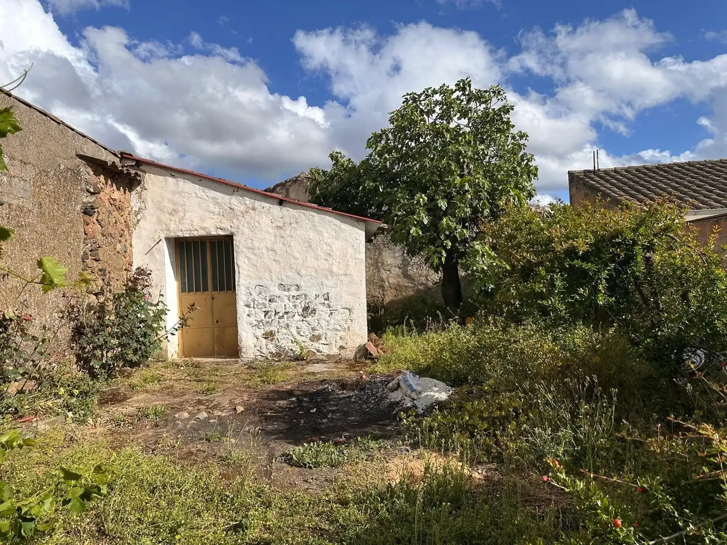 Maison avec jardin à vendre à Fuente Obejuna, imagen 5